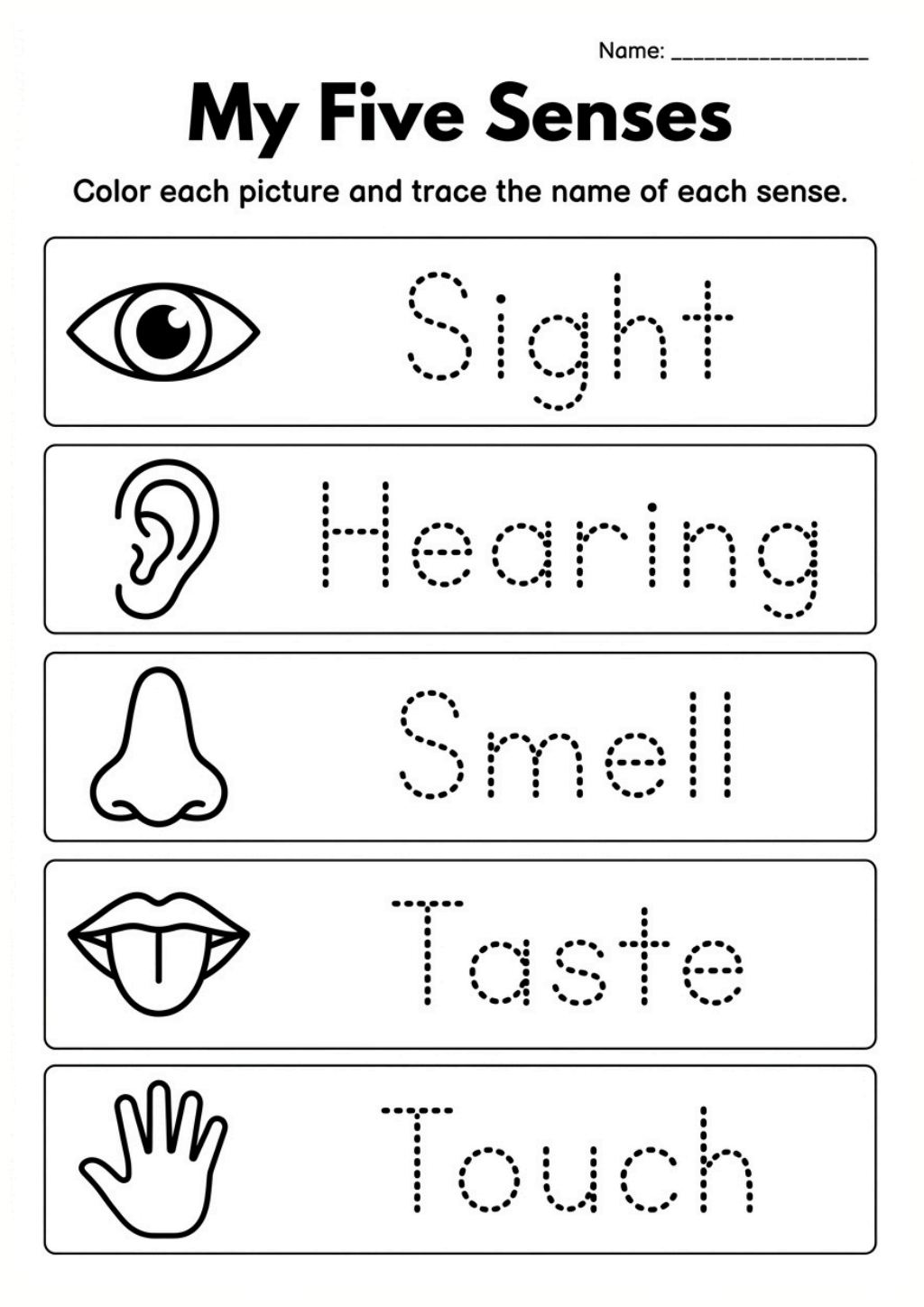 My Five Senses Worksheet
