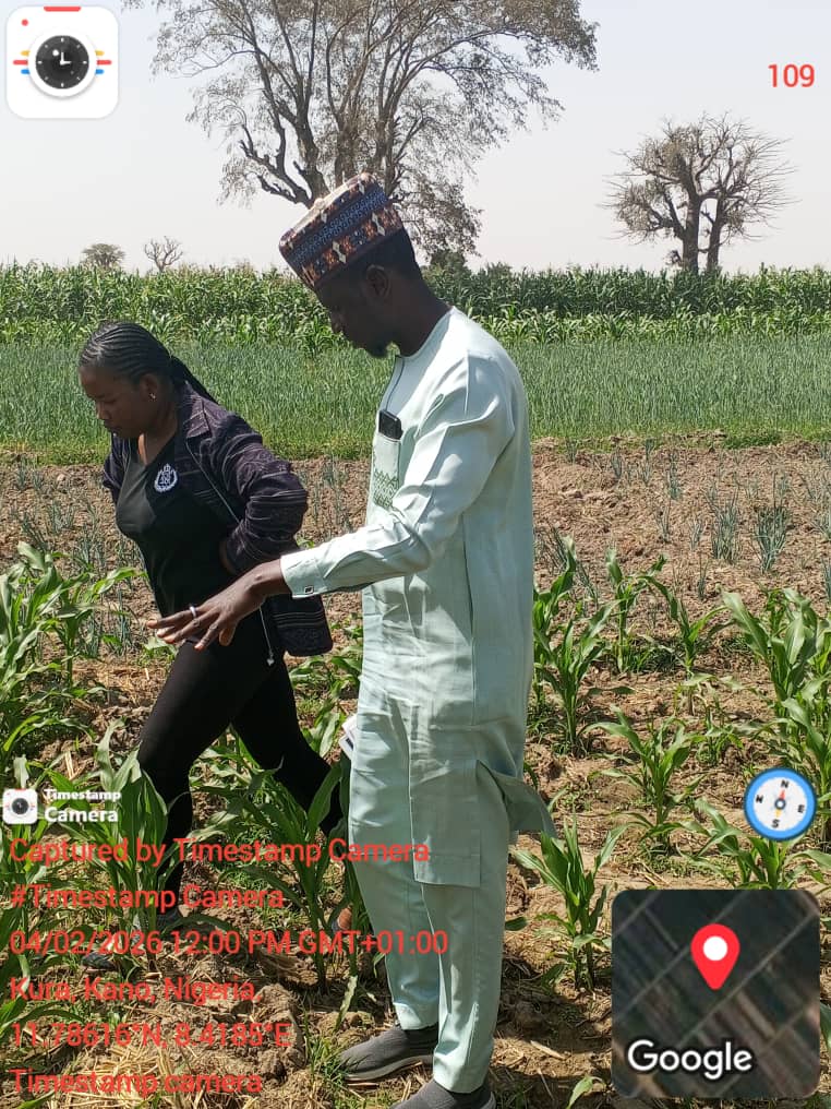Kano State pilot — operations