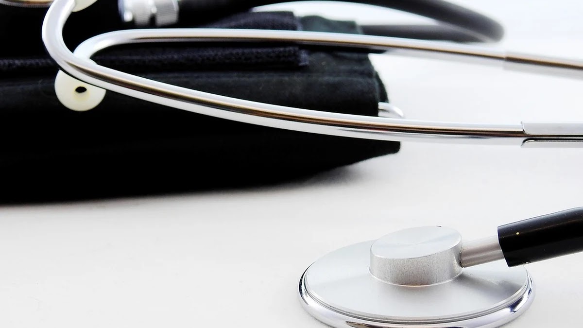 면역 체계 주요 구성 요소별 기능과 건강 관리 기준