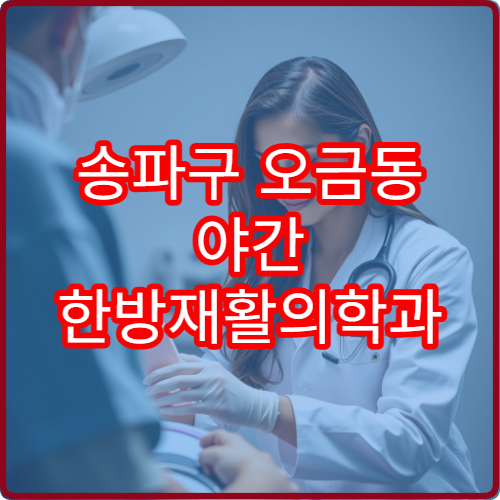 송파구 오금동 야간 한방재활의학과 진료 병원 추나요법 안내