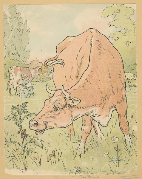The cow sees Tom Thumb 1922