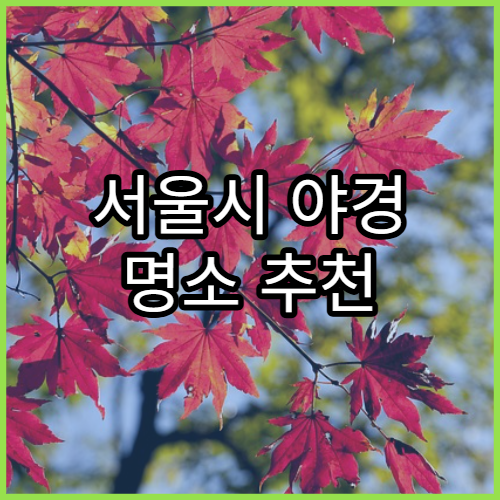 서울시 야경 명소 추천 | 포토존 명당 총정리