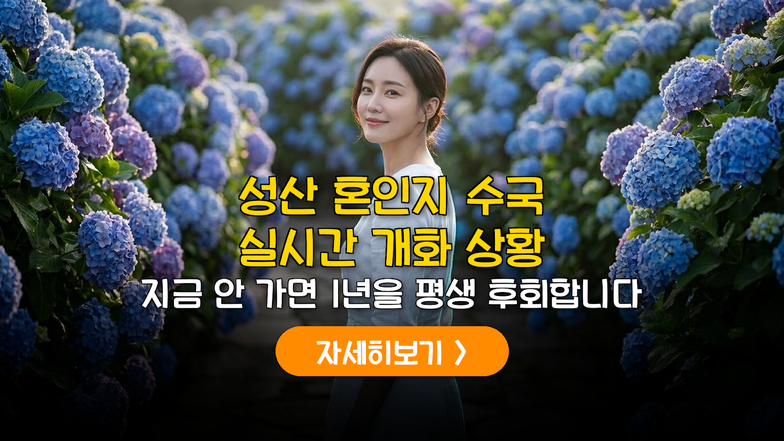 제주 혼인지 수국 개화 현황 및 6월 출사 가이드