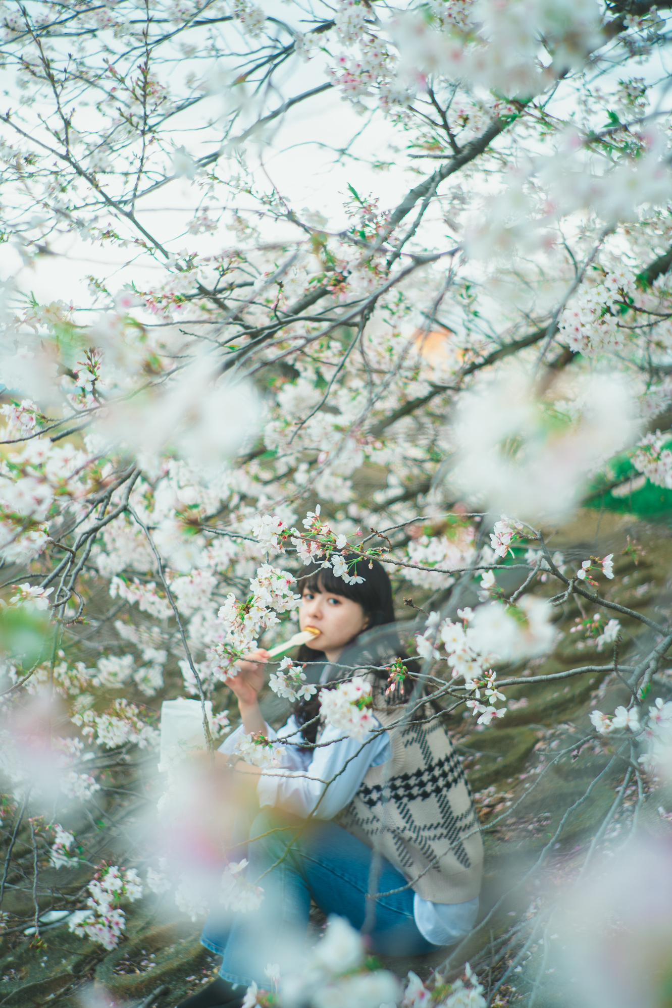 Portrait — Makino Shota