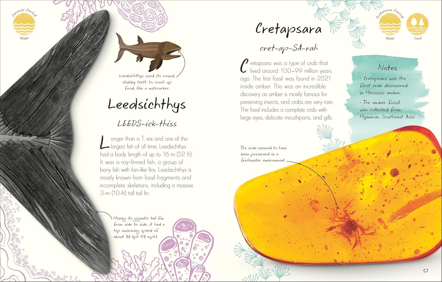 An Anthology of Fossils - thumbnail 2