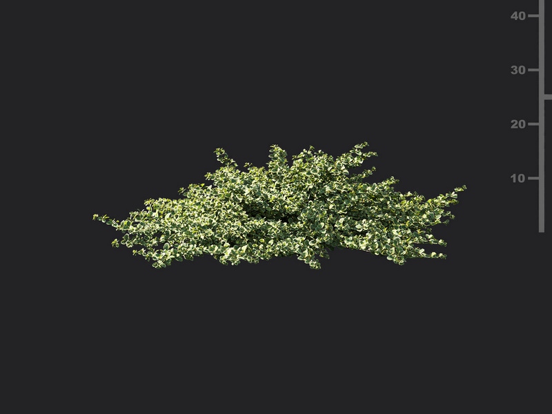 Maxtree - Plant Models Vol.119