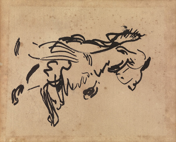 Study of a Cat