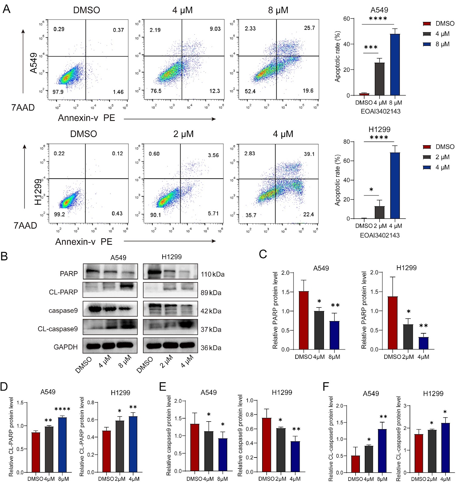 EOAI3402143 inhibits lung adenocarcinoma progression through the NF-κB/NR4A1 pathway