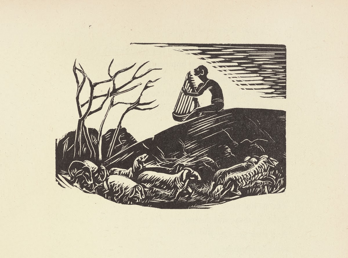 David mind the sheep for him pa 1946