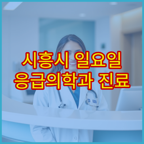 시흥시 일요일 응급의학과 진료 병원 응급환자 진료·처치 가능