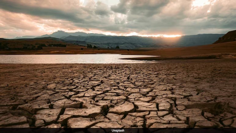 Corpus Christi’s Water Crisis: A Looming Global Warning