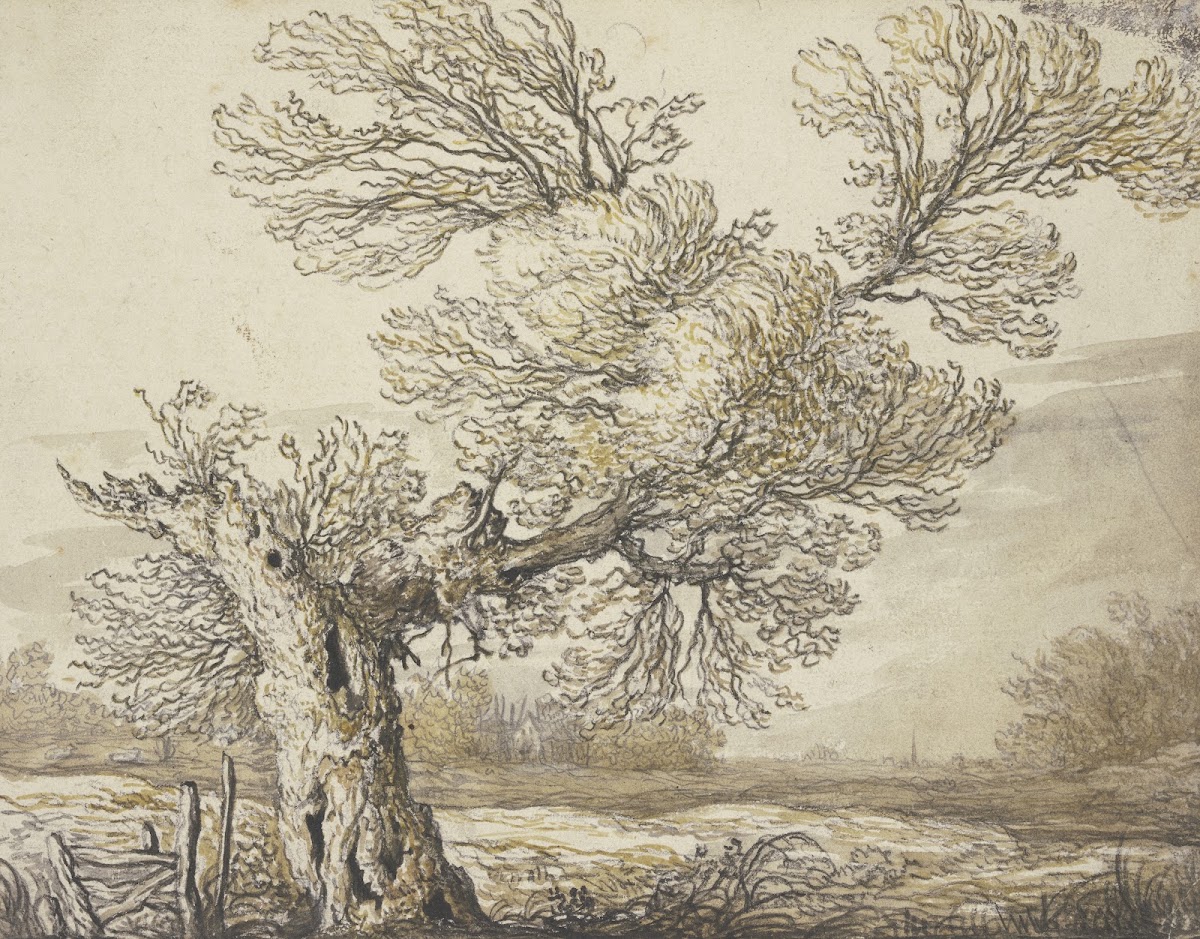 Landscape near Dordrecht ca 1640  1645
