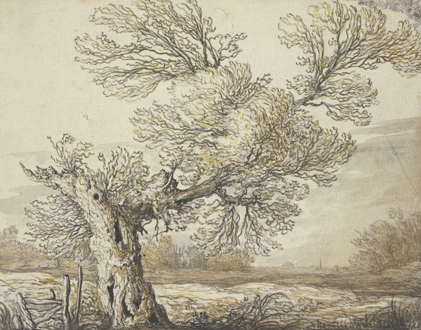 Landscape near Dordrecht ca 1640  1645
