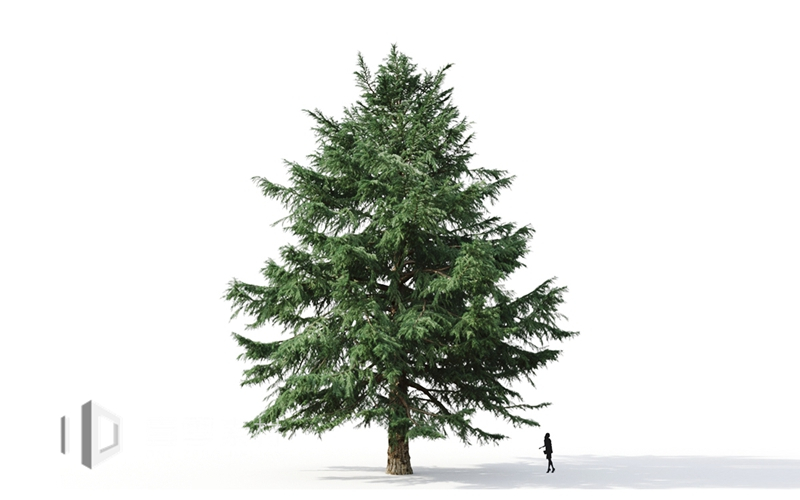 Maxtree - Plant Models Vol.9