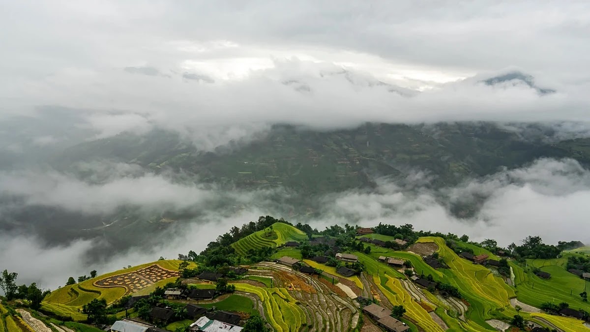 알고리즘 공부 순서 추천: 입문부터 심화까지 단계별 전략