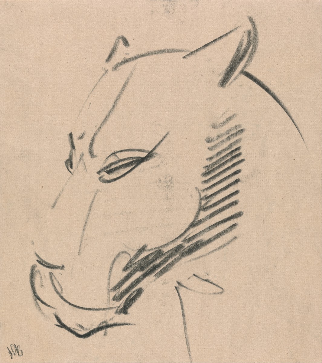 Head of a Lioness 1910   1915