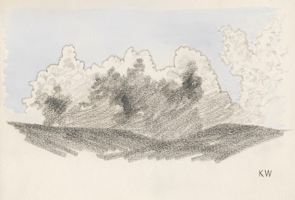 Naturstudie XXIII 1924