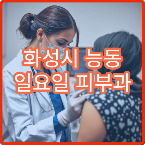 화성시 능동 일요일 피부과 병원 안내 주말 피부과 진료 리스트