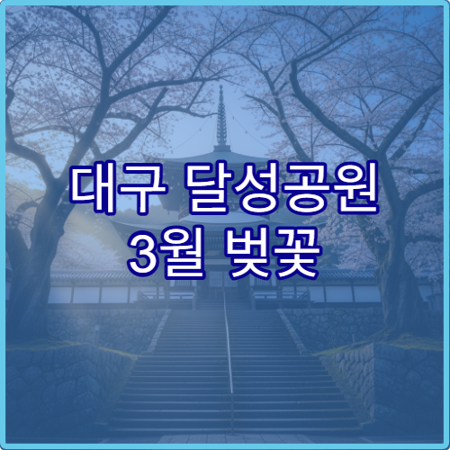 대구 달성공원 3월 벚꽃 사진 인생샷 찍기 좋은 황금 시간대와 위치