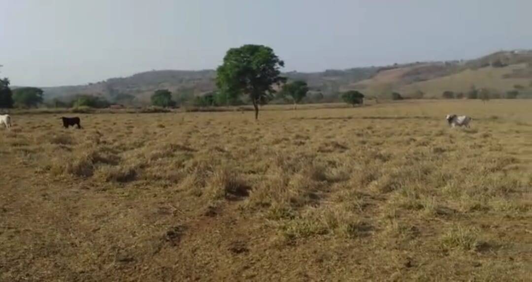 Fazenda em Poxoréu - MT 6