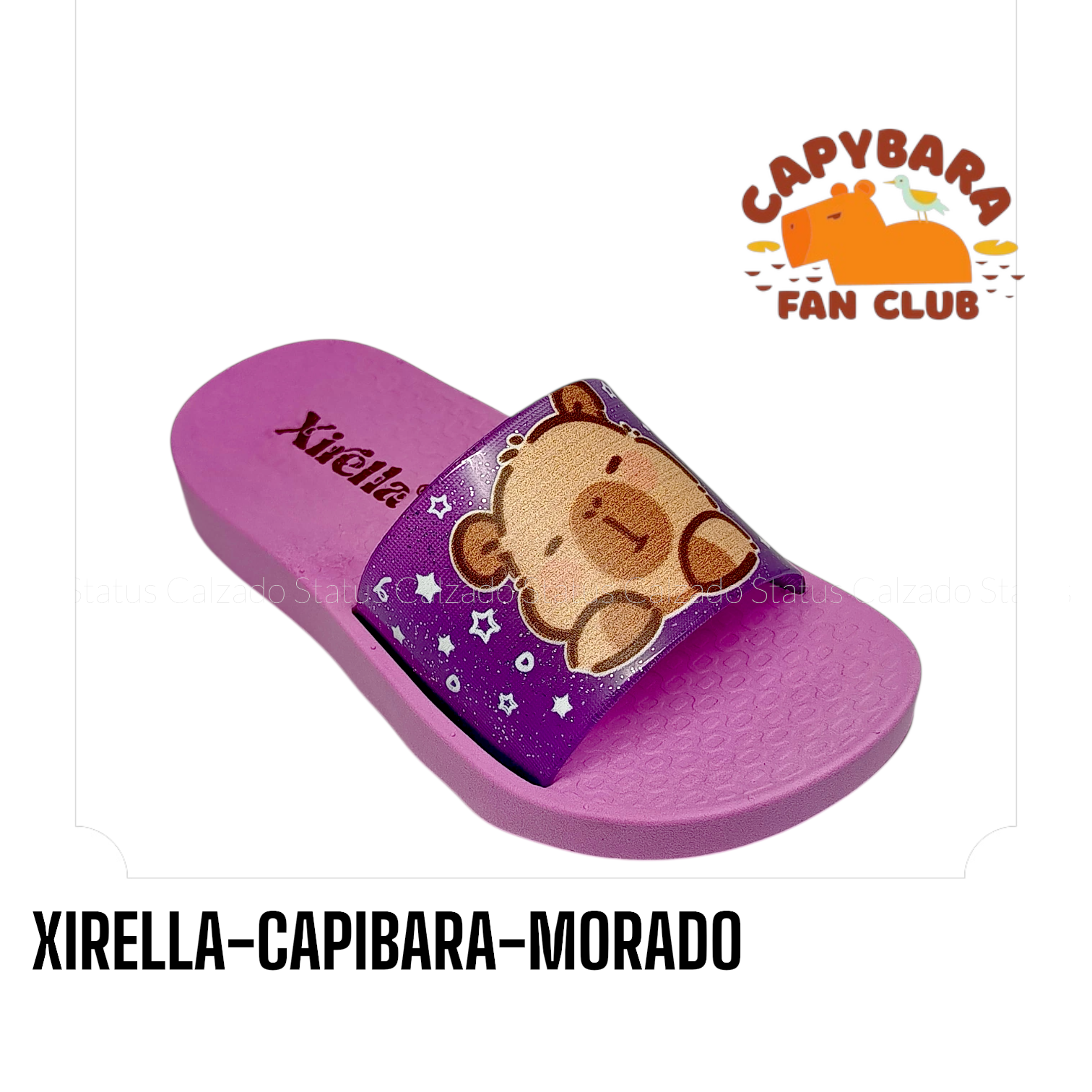 XIRELLA-CAPIBARA-MORADO