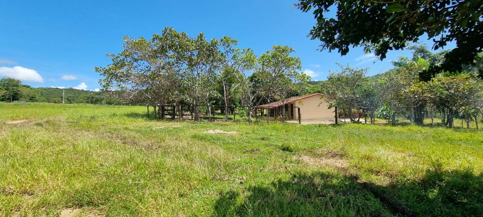 Chácara em Jaraguá-GO 4