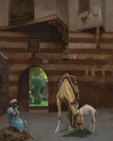The Camel Driver