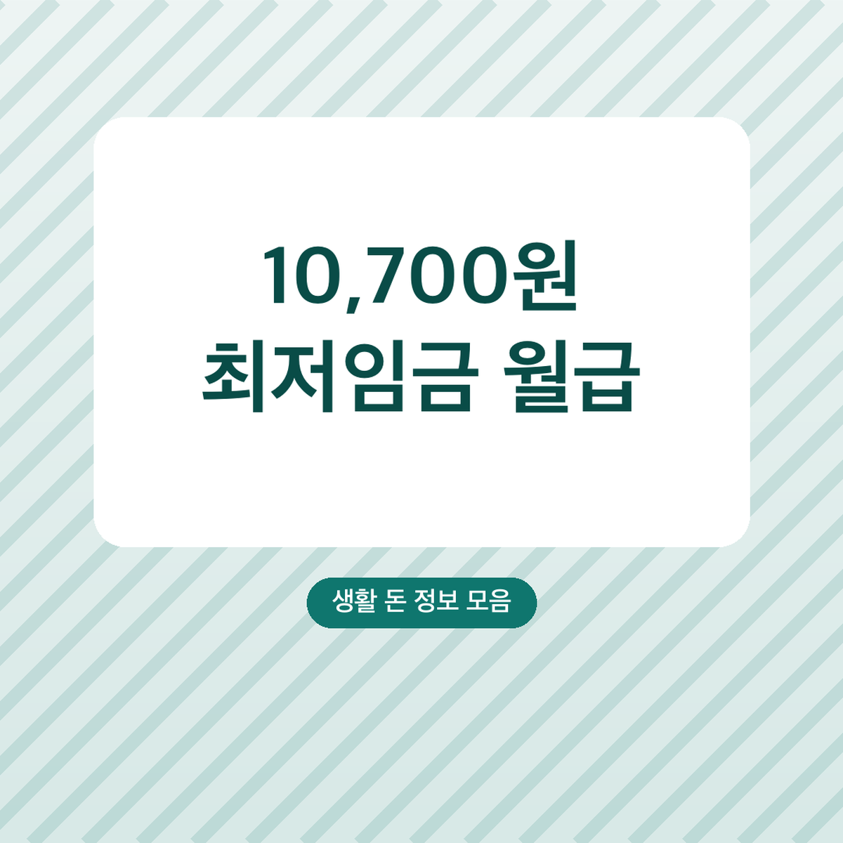 정선 5일장 곤드레밥 맛집 회동집 위치·메뉴