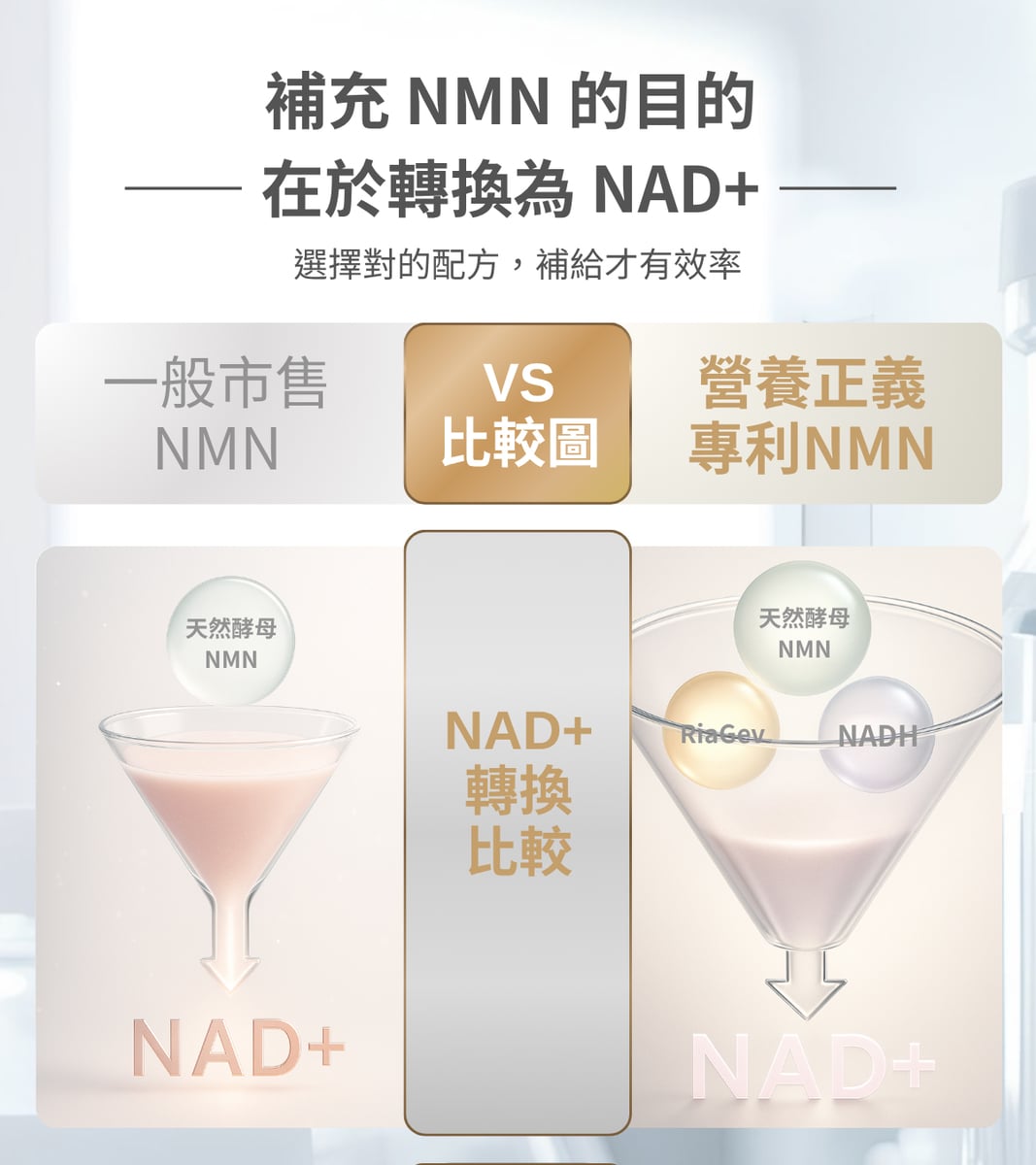 9合1 NMN 配方說明 2