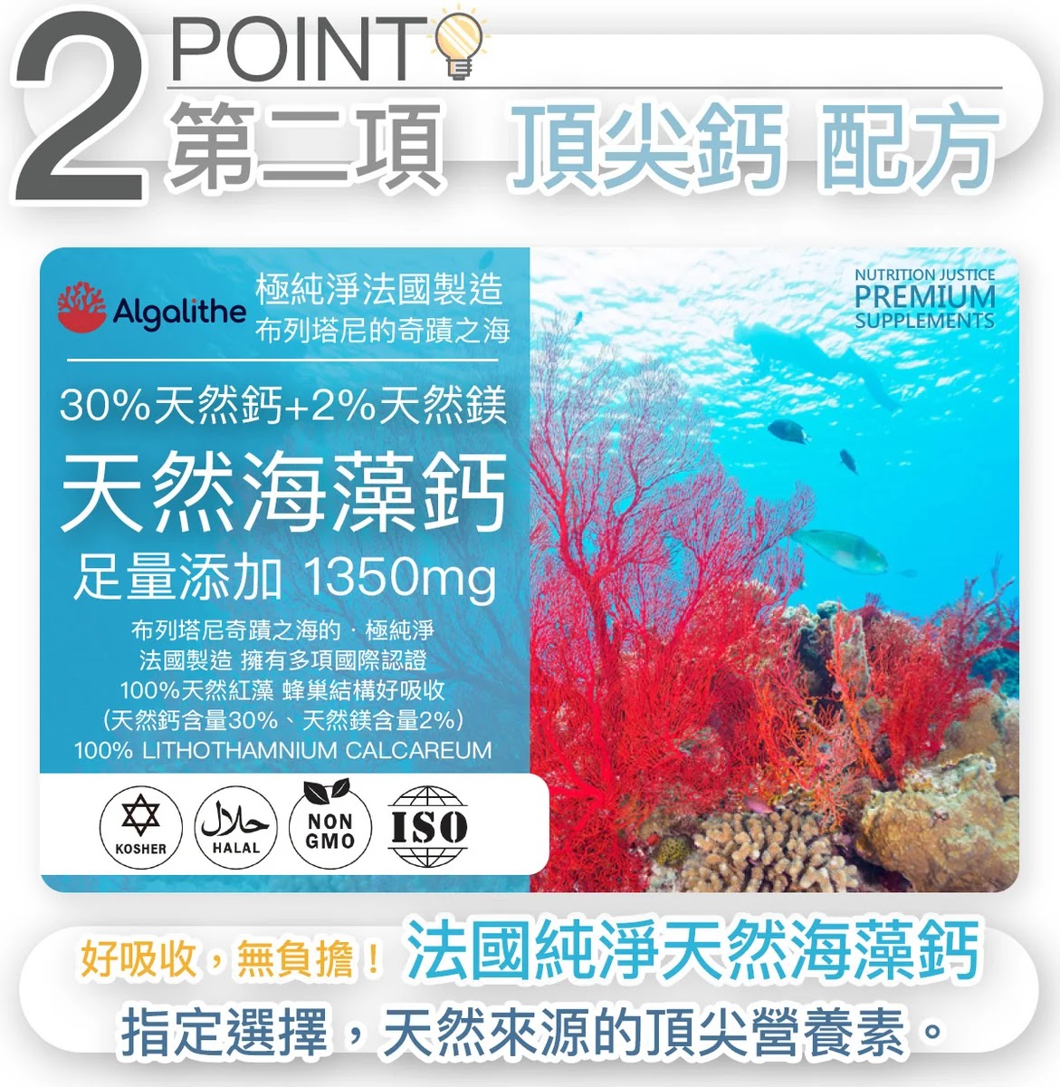 預覽