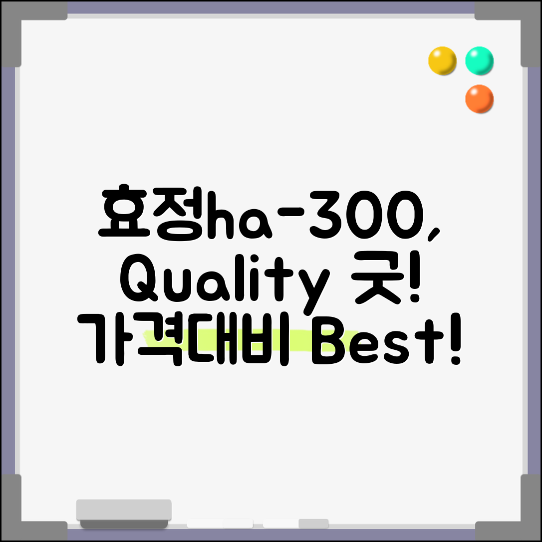 “효정ha-300, 가격대비 이 정도 퀄리티라니!”