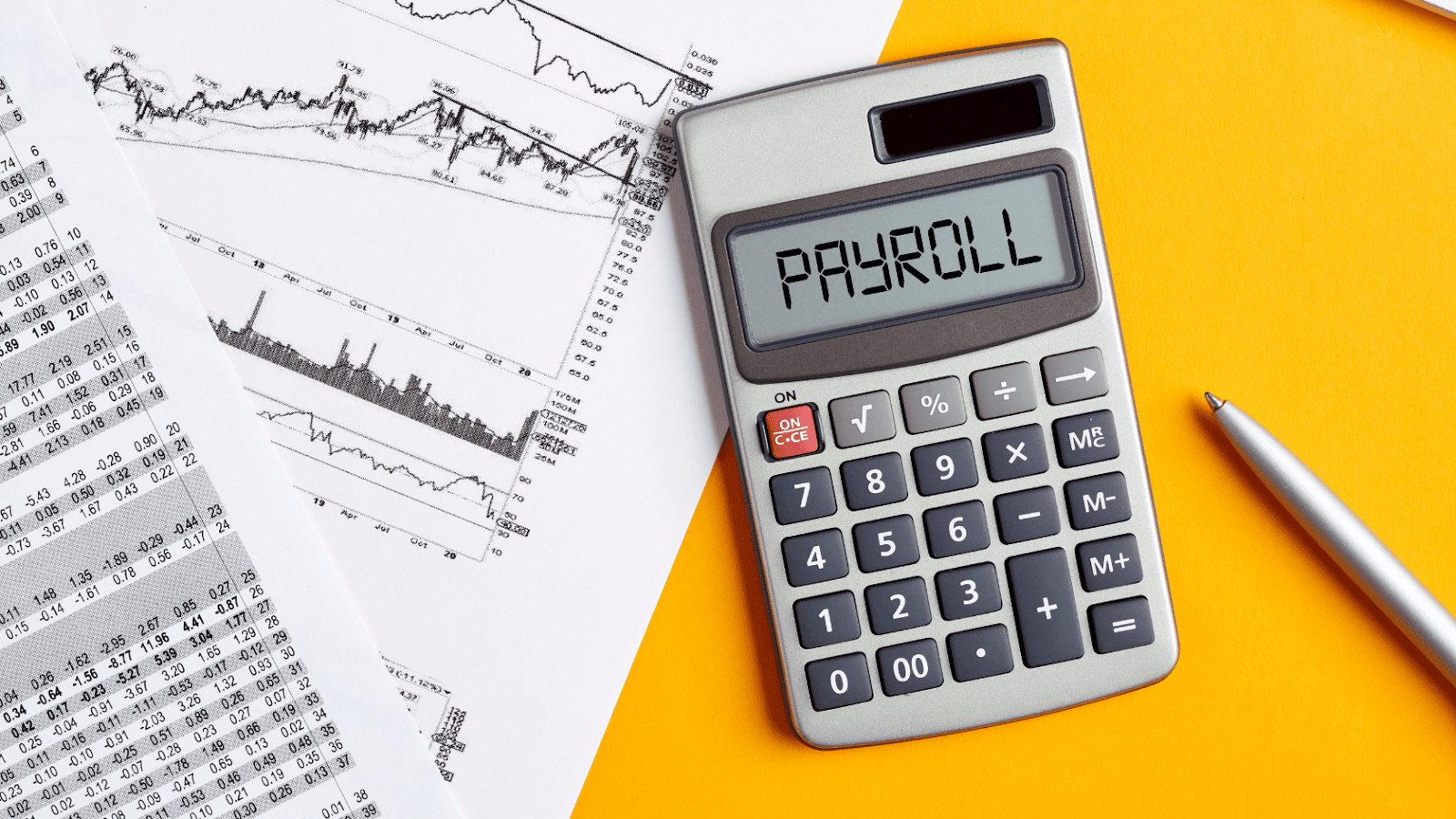 Affordable Payroll Solutions for Large Companies