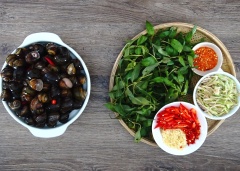 Xả sạch ốc với nước, sau đó cho ốc vào một nồi (hoặc thau) lớn, cho sả cây đập dập, ớt băm, ớt bột, gừng lát và một số đồ kim loại (dao, muỗng, nĩa inox), đổ nước ngập ốc và ngâm qua đêm hoặc tối thiểu 1 - 2 giờ. Chờ cho ốc ra chất bẩn hết thì rửa sạch lại với nước, để ráo. Sả cắt khúc ngắn, đập dập và thái sợi, tỏi và ớt hiểm băm nhuyễn, ớt sừng thái lát. Rau răm làm sạch, vặt lá và để ráo nước.