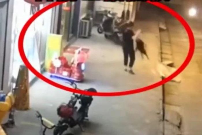 Chó dữ bất ngờ lao ra đường cắn loạn xạ, 21 người bị thương - Tạp chí Doanh Nghiệp Việt Nam