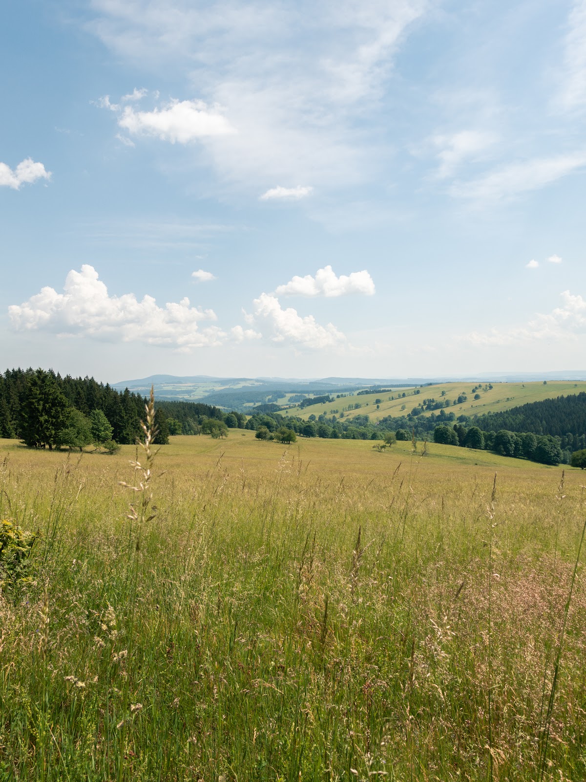 Výhled na kopcovitou krajinu z louky, druhý záběr