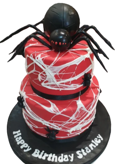 Spider Themed Birthday Cake CB-NC447