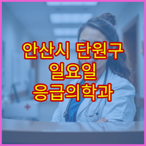 안산시 단원구 일요일 응급의학과 진료 병원 응급처치·외상 치료 가능