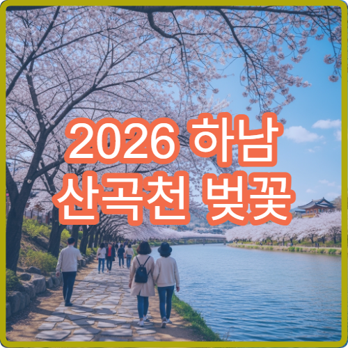 2026 하남 산곡천 벚꽃 출사 새벽 6시 창우아파트 배경 황금시간