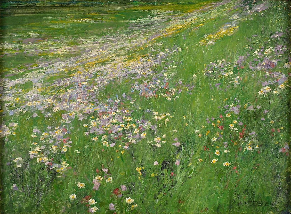Blumenwiese bei Weßling between 1915 and 1920