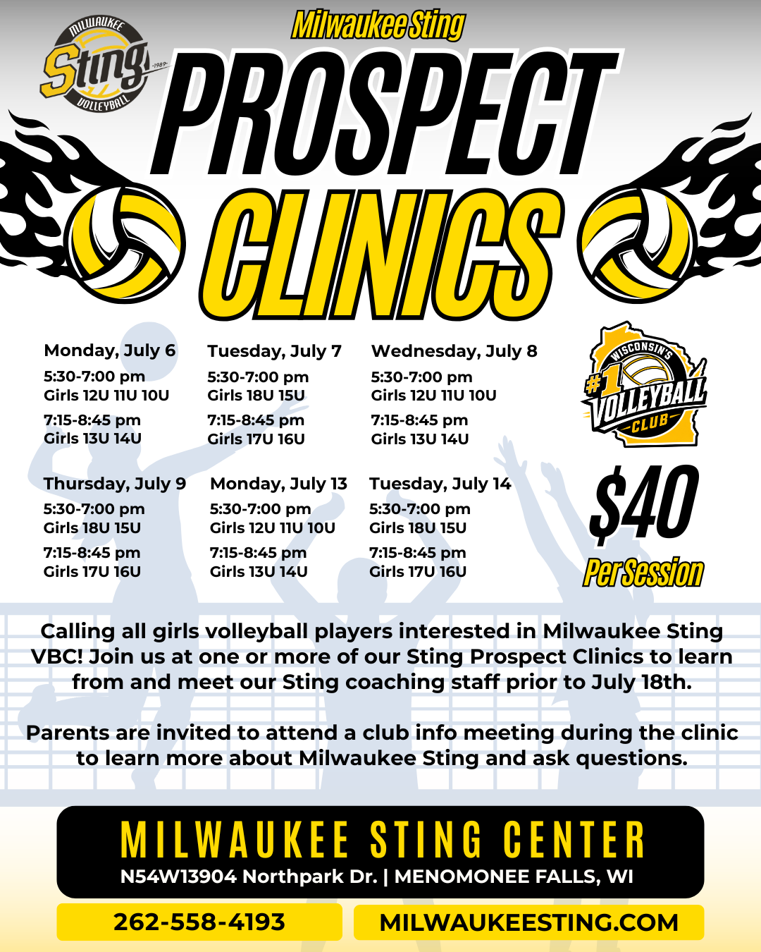 Milwaukee Sting Prospect Clinics flyer