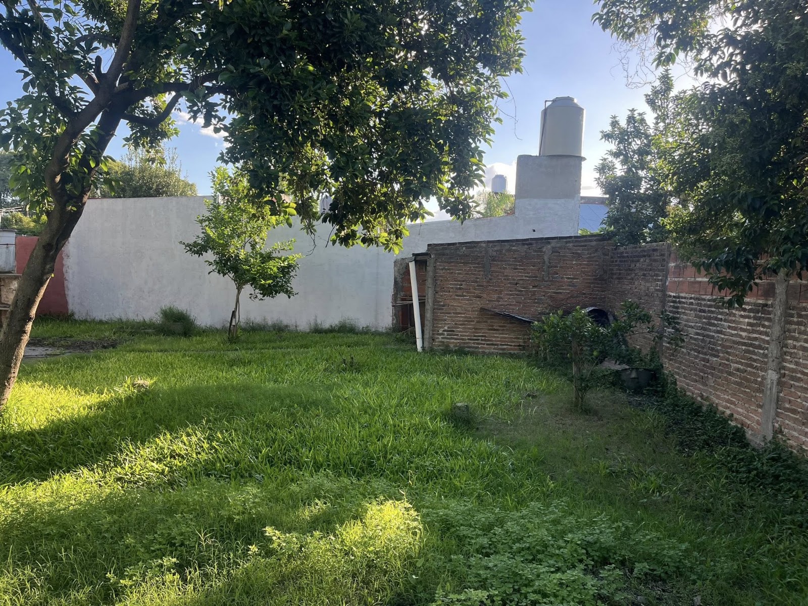 Foto 6