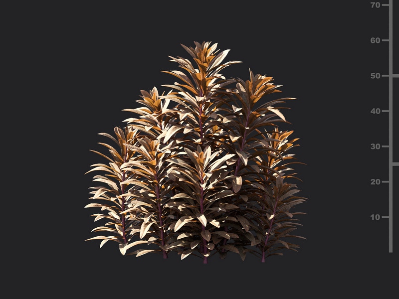 Maxtree - Plant Models Vol.119