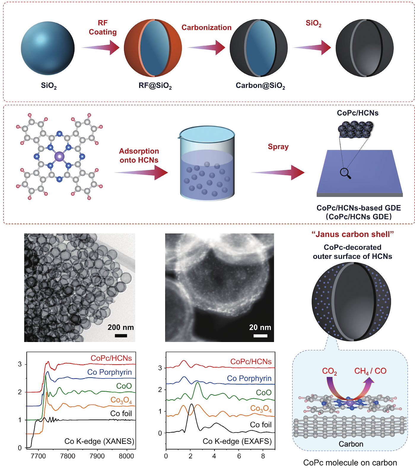 Janus carbon shells with inner–outer functional asymmetry enable local proton enrichment for promoting CO2 methanation