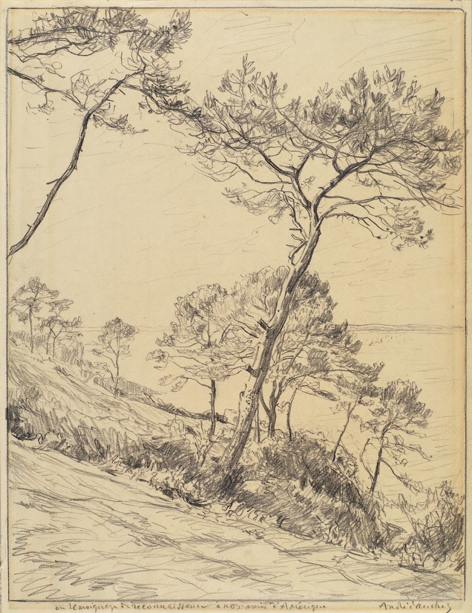 Landscape