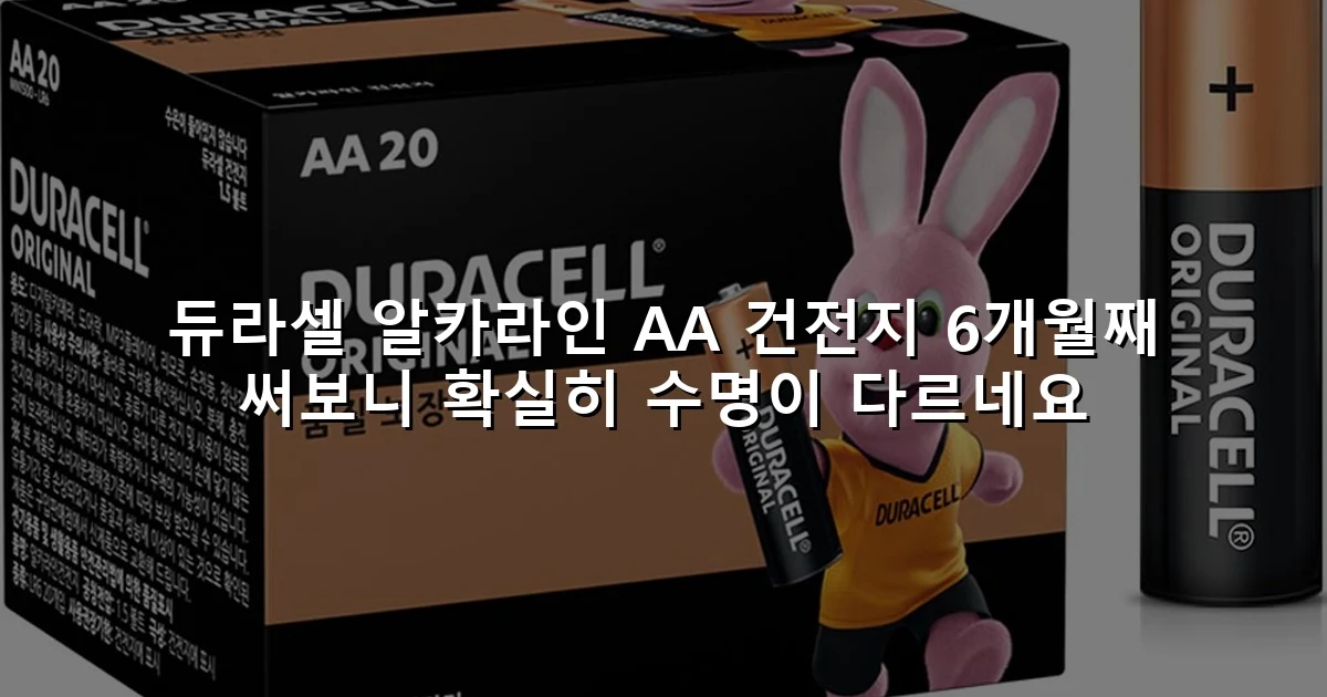 듀라셀 알카라인 AA 건전지 6개월째 써보니 확실히 수명이 다르네요