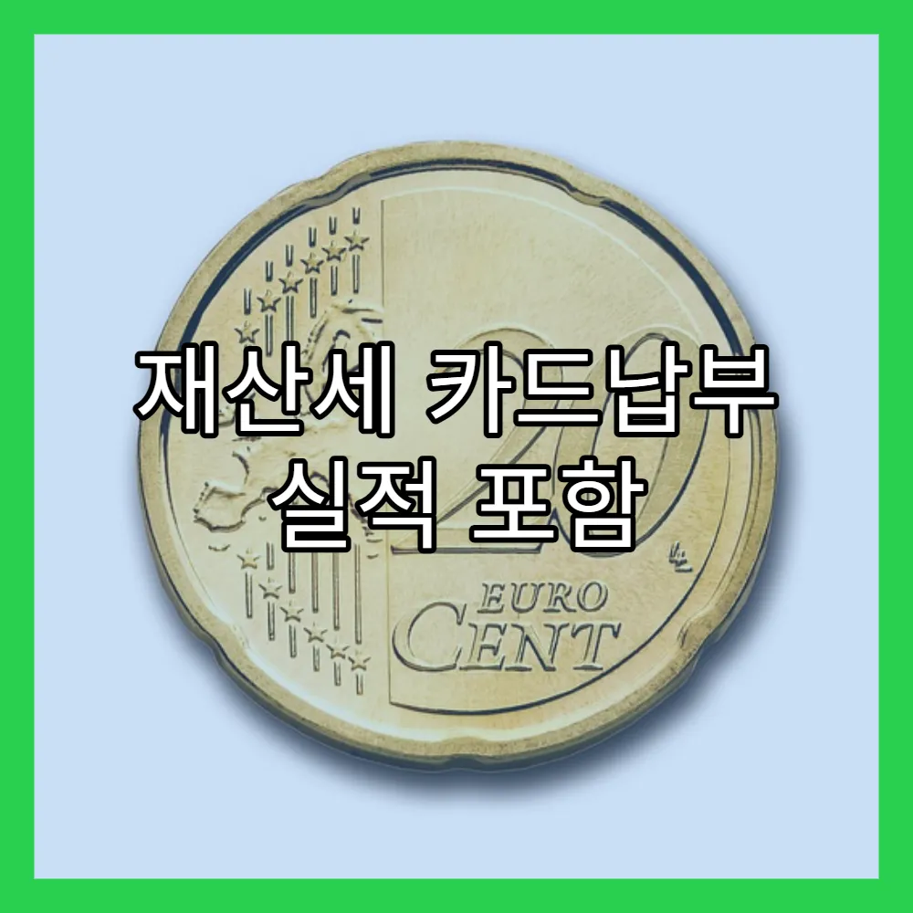 재산세 카드납부 실적 포함 카드와 제외 카드(+국민카드, 신한카드)