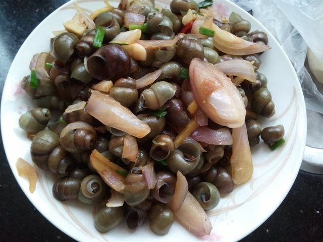 Ốc Đắng Xào Hành Tây