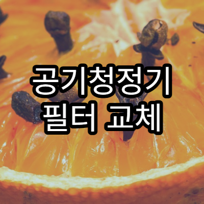 공기청정기 필터 교체 주기