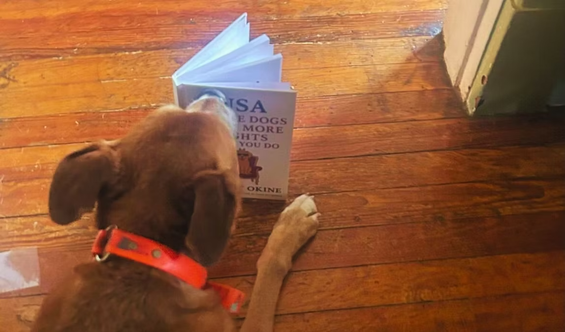 Dog reading USA: Where Dogs Have More Rights Than You Do