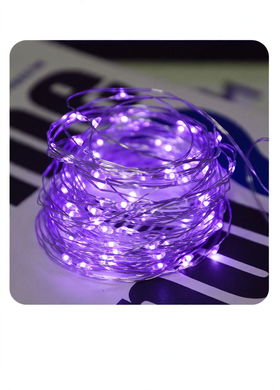 LED copper wire string light with battery box